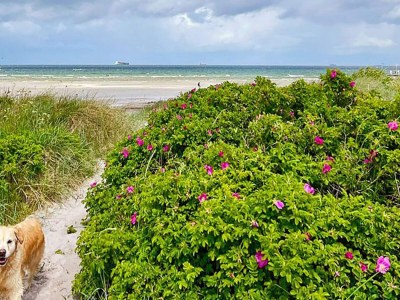 Apartment 6 Personen Ferienhaus in Wendtorf - Outdoor photo 45