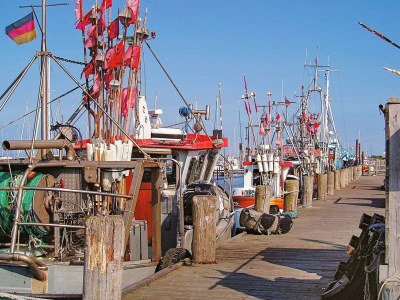 Apartment 6 Personen Ferienhaus in Wendtorf - Outdoor photo 42