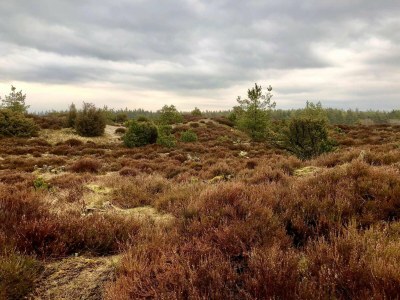 Holiday house 5 person holiday home in Hovborg - Outdoor photo 11