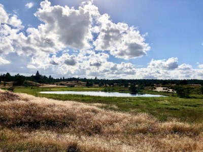 Holiday house 5 person holiday home in Hovborg - Outdoor photo 25