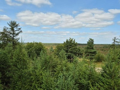 Holiday house 5 person holiday home in Hovborg - Outdoor photo 26