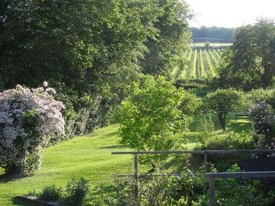 Holiday apartment 3 Weingut Hauerhof 99 - Outdoor photo 6