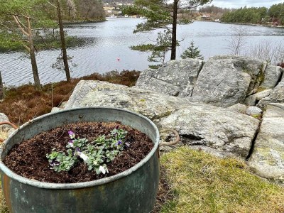 Holiday house 8 person holiday home in SVEIO - Outdoor photo 21