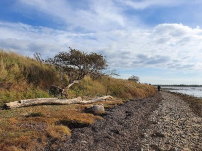 Holiday house 4 Personen Ferienhaus in Bogense-By Traum - Outdoor photo 6