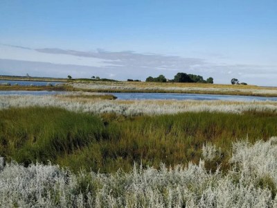 Holiday house 4 Personen Ferienhaus in Bogense-By Traum - Outdoor photo 7