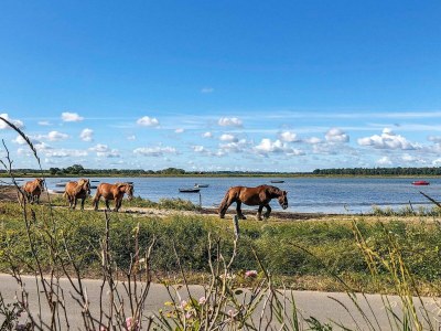Holiday house 4 Personen Ferienhaus in Bogense-By Traum - Outdoor photo 20