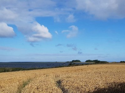 Holiday house 4 Personen Ferienhaus in Bogense-By Traum - Outdoor photo 34