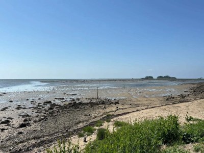 Holiday house 4 Personen Ferienhaus in Bogense-By Traum - Outdoor photo 37