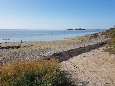 Holiday house 4 Personen Ferienhaus in Bogense-By Traum - Outdoor photo 39