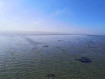 Holiday house 4 Personen Ferienhaus in Bogense-By Traum - Outdoor photo 41