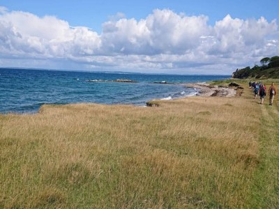 Holiday house 4 Personen Ferienhaus in Bogense-By Traum - Outdoor photo 44