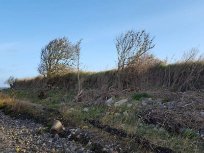 Holiday house 4 Personen Ferienhaus in Bogense-By Traum - Outdoor photo 49