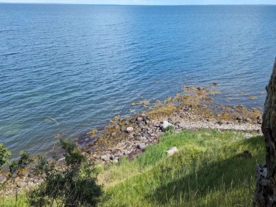 Holiday house 4 Personen Ferienhaus in Bogense-By Traum - Outdoor photo 50