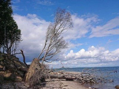 Holiday house 4 Personen Ferienhaus in Bogense-By Traum - Outdoor photo 52