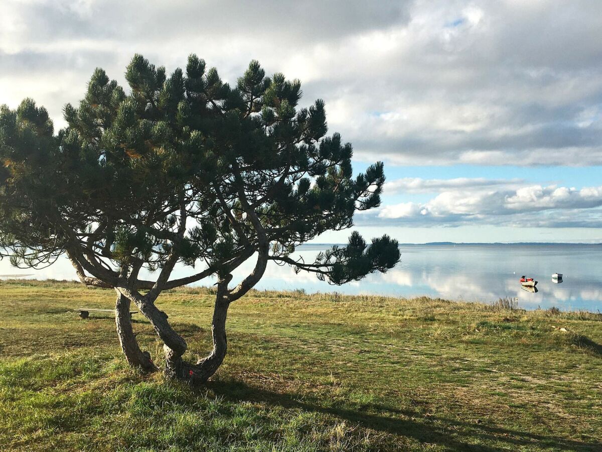 Holiday house 4 person holiday home in Jægerspris - Outdoor photo 2