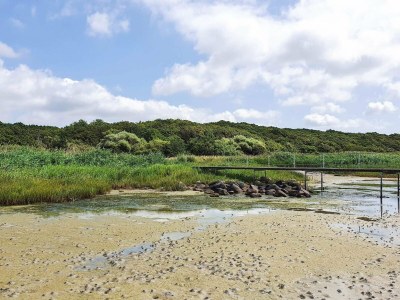 Holiday house 4 person holiday home in Jægerspris - Outdoor photo 19