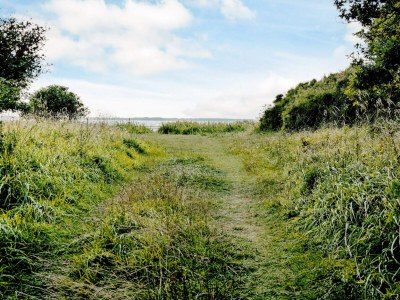 Holiday house 4 person holiday home in Jægerspris - Outdoor photo 38