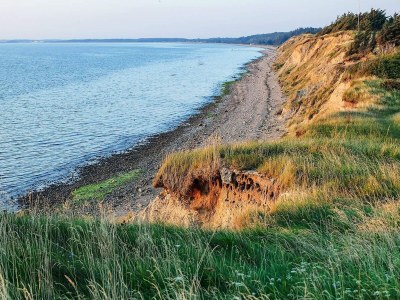 Holiday house 6 person holiday home in Løgstør-By Traum - Outdoor photo 26