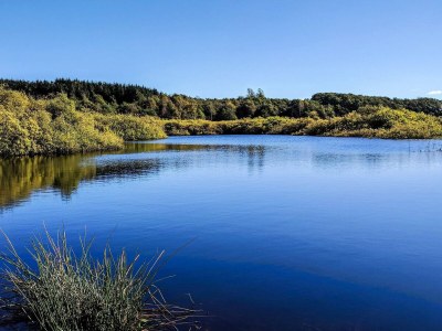 Holiday house 6 person holiday home in Løgstør-By Traum - Outdoor photo 36