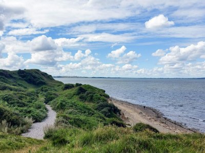 Holiday house 6 person holiday home in Løgstør-By Traum - Outdoor photo 38