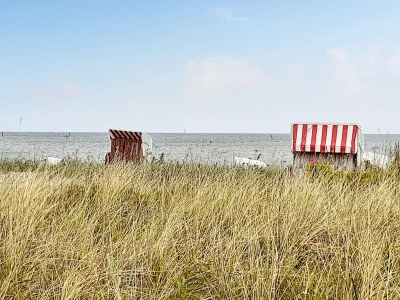 Apartment 6 Personen Ferienhaus in Wendtorf - Outdoor photo 9