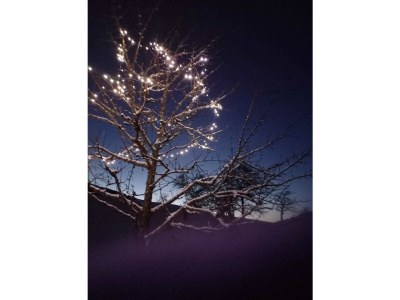 Apartment Millauer - Outdoor photo 10