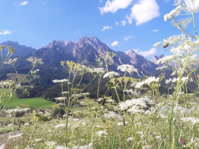 Apartment Millauer - Environment photo 24