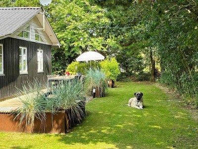 Holiday house 8 Personen Ferienhaus in Ringkøbing - Outdoor photo 7