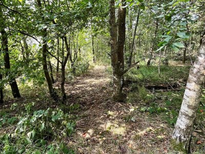 Holiday house 8 Personen Ferienhaus in Ringkøbing - Outdoor photo 10