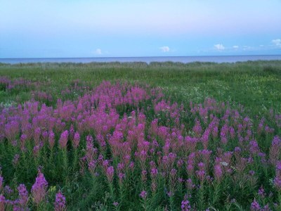 Holiday house 5 Personen Ferienhaus in Væggerløse - Outdoor photo 6