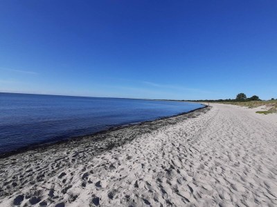 Holiday house 5 Personen Ferienhaus in Væggerløse - Outdoor photo 28