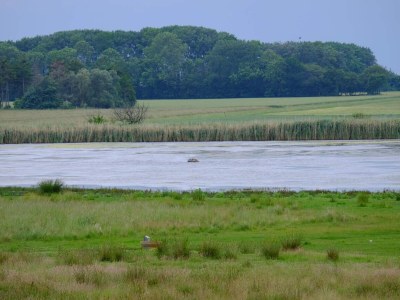 Holiday house 5 Personen Ferienhaus in Væggerløse - Outdoor photo 30