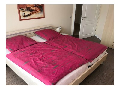 Holiday apartment am Kurpark Bad Zwischenahn - Outdoor photo 13