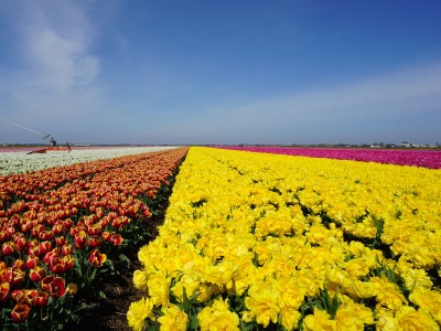 Holiday house Keizerskroon 3 - Environment photo 23