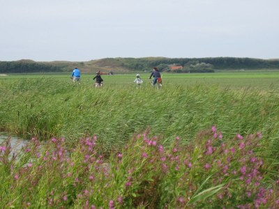 Holiday house Keizerskroon 3 - Environment photo 30