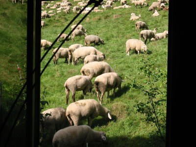 Holiday house "Haus am Berg-Flüsschen" 1 - Environment photo 18