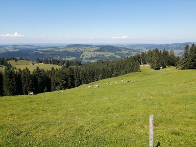 Holiday apartment Fewo Löwenzahn - Environment photo 34