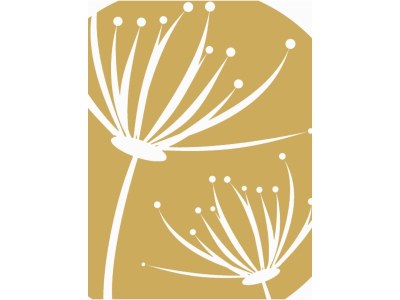 Holiday apartment Fewo Löwenzahn - Document photo 43