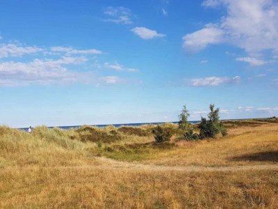 Holiday house 6 Personen Ferienhaus in Væggerløse-By Traum - Outdoor photo 32