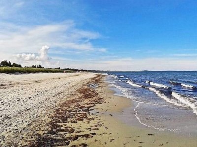 Holiday house 6 Personen Ferienhaus in Væggerløse-By Traum - Outdoor photo 35