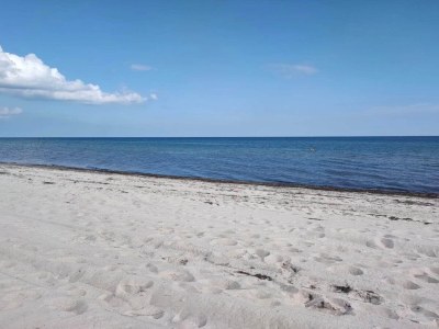 Holiday house 6 Personen Ferienhaus in Væggerløse-By Traum - Outdoor photo 37