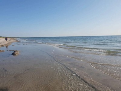 Holiday house 6 Personen Ferienhaus in Væggerløse-By Traum - Outdoor photo 45