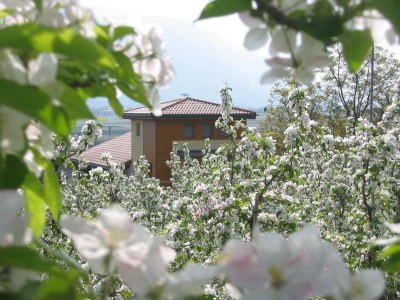 Apartment Aronia - Outdoor photo 9