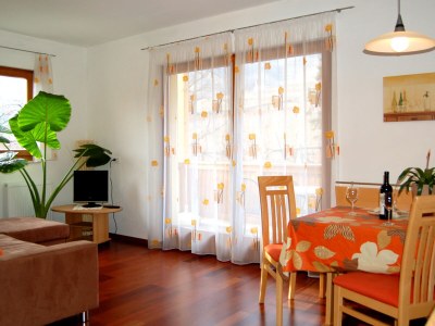 Apartment Aronia - Features photo 11