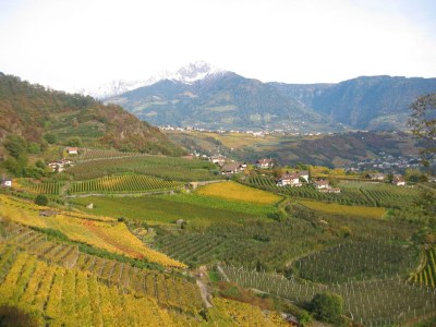 Apartment Aronia - Environment photo 15