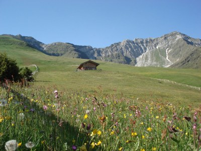 Apartment Aronia - Environment photo 19