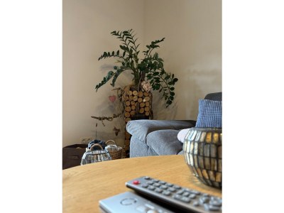 Holiday apartment Apartment in the Au - Features photo 22