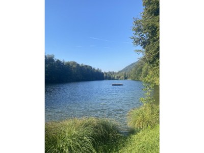 Holiday apartment Apartment in the Au - Environment photo 27