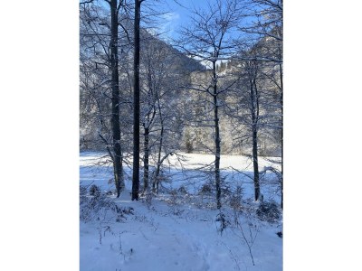 Holiday apartment Apartment in the Au - Environment photo 33