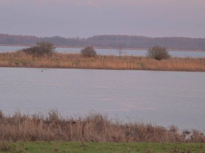 Holiday house Cozy Vacation home with hot tub - Outdoor photo 11